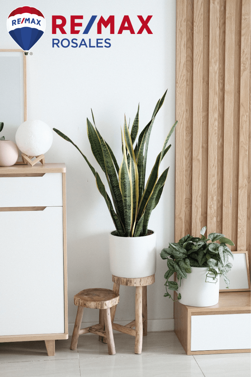 5 webs que te ayudarán a decorar tu hogar